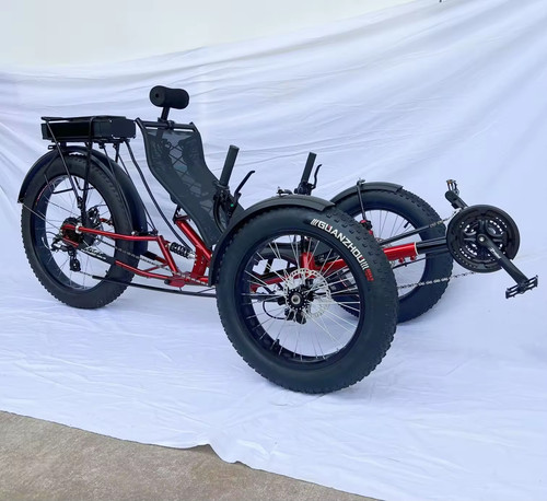 Electric pedal assist - pedal, 360w/36v